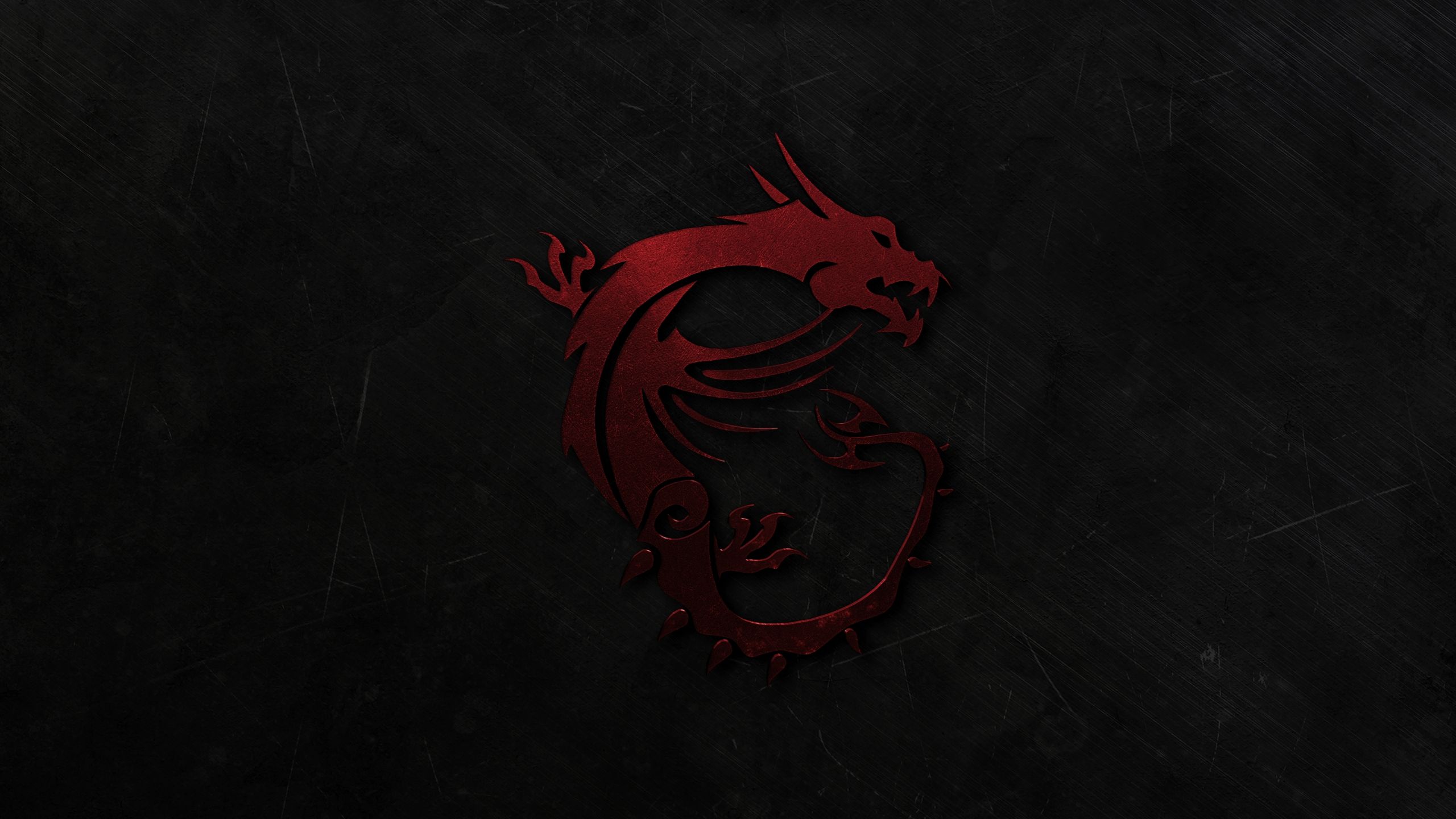 Logo MSI Armor scheda grafica, 2560x1440 2K, Monitor Gaming