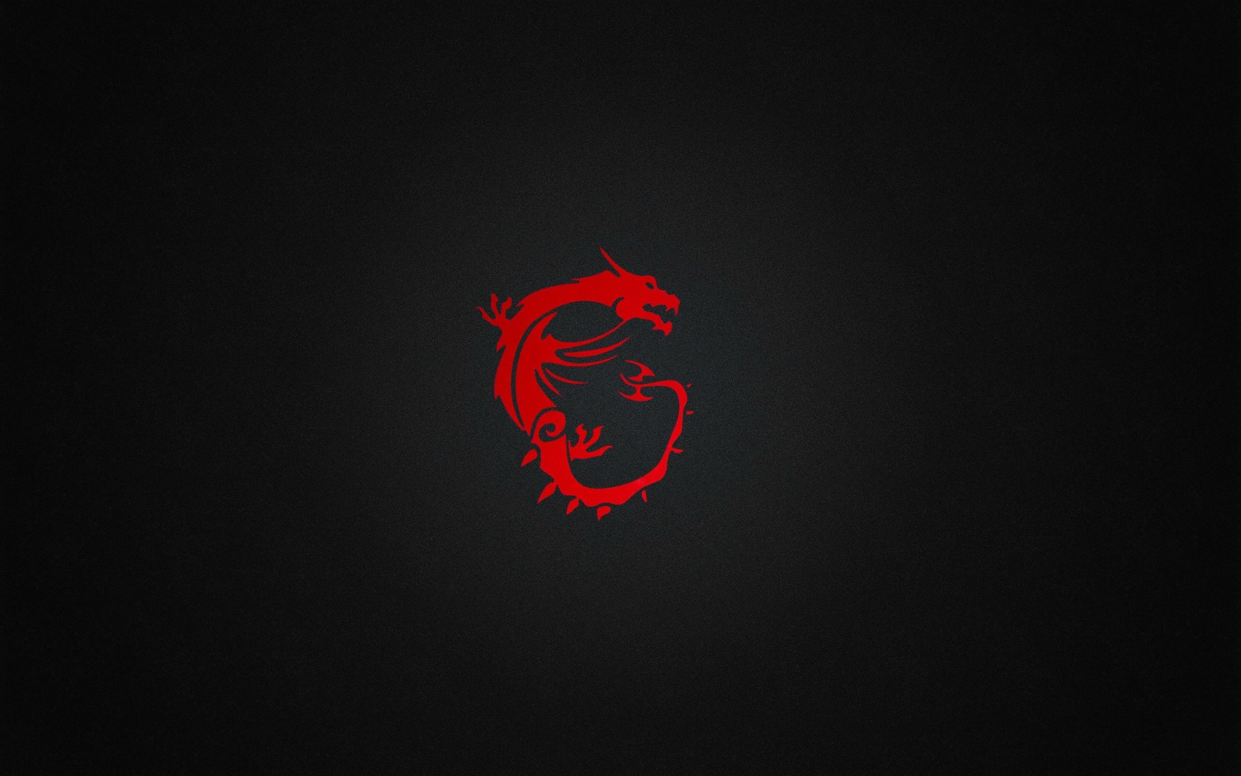 Logo drago rosso MSI, hardware gaming, 2560x1600 2K, Desktop