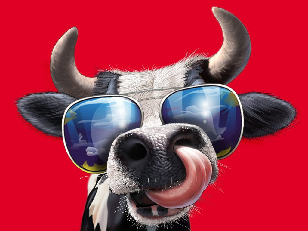Mucca con occhiali da sole, 1024x768 HD, Desktop