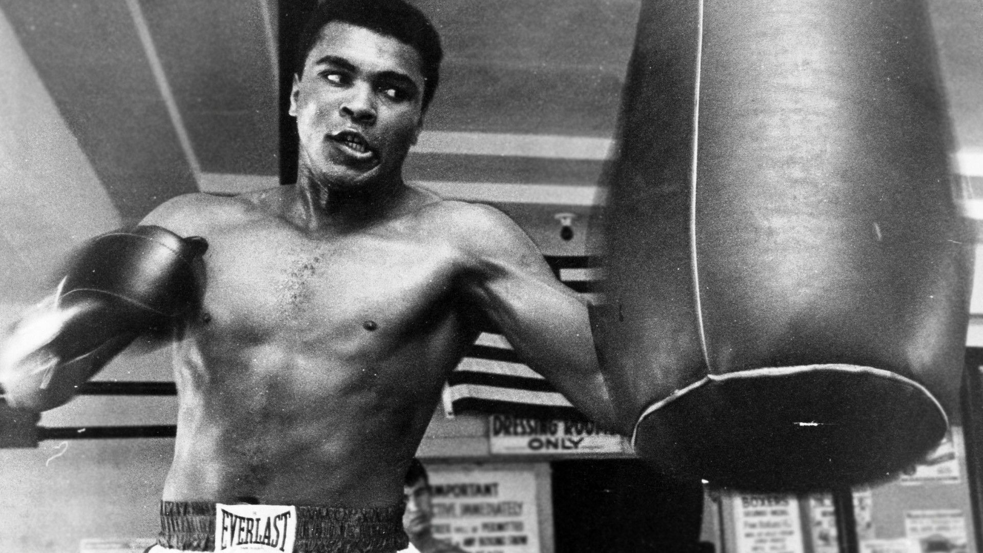 Muhammad Ali sacco boxe, 1920x1080 Full HD 1080p, PC