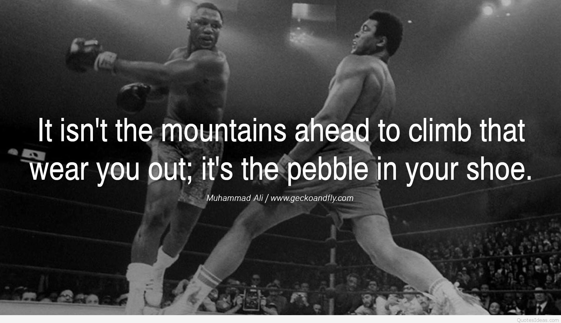 Muhammad Ali citazione boxe bianco nero, 1920x1107 Full HD, Desktop