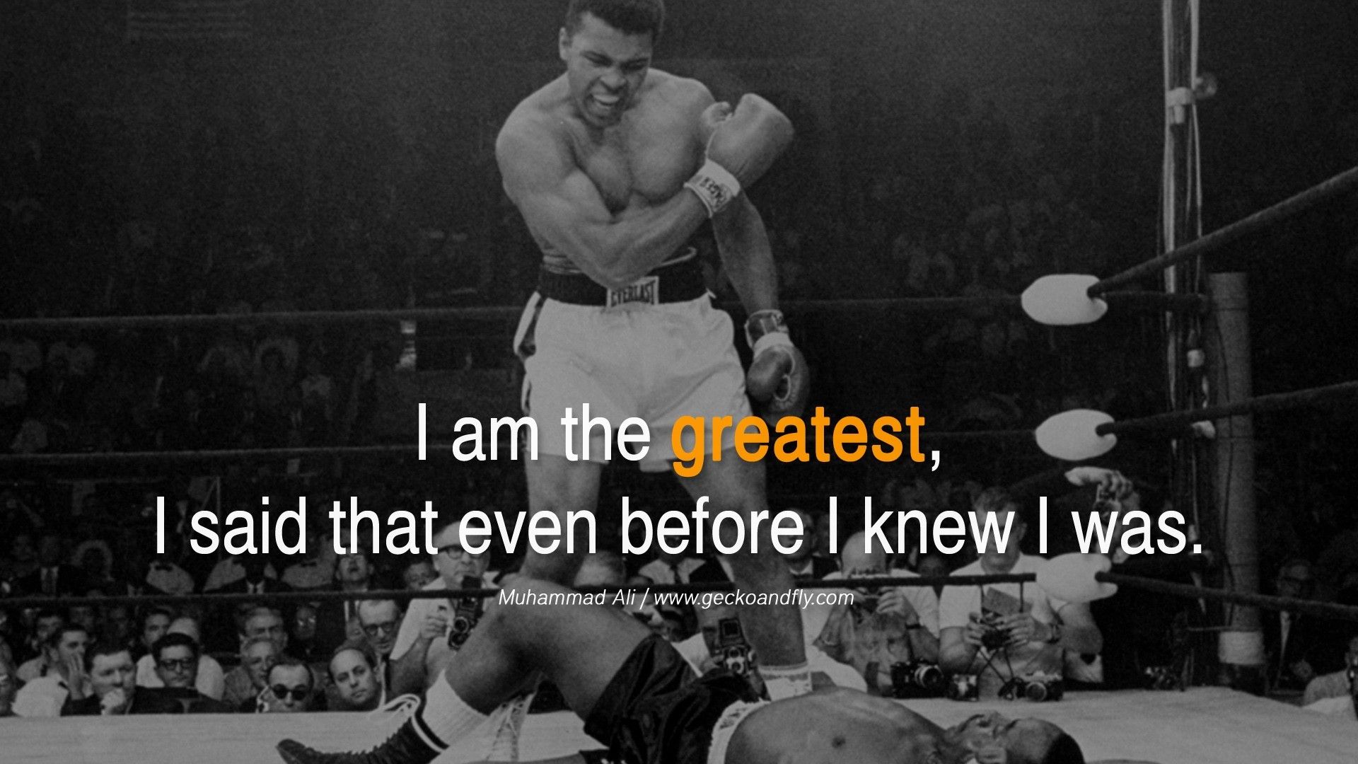 Muhammad Ali ring pugilato, 1920x1080 Full HD 1080p, Desktop