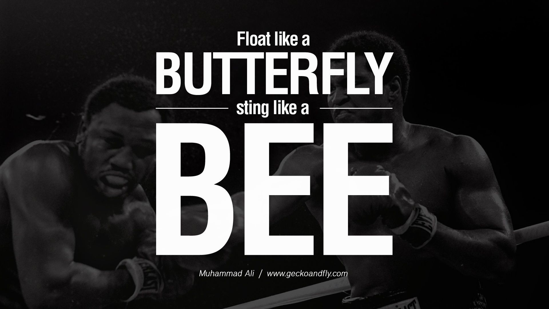 Muhammad Ali citazione boxe, 1920x1080 1080p, Desktop