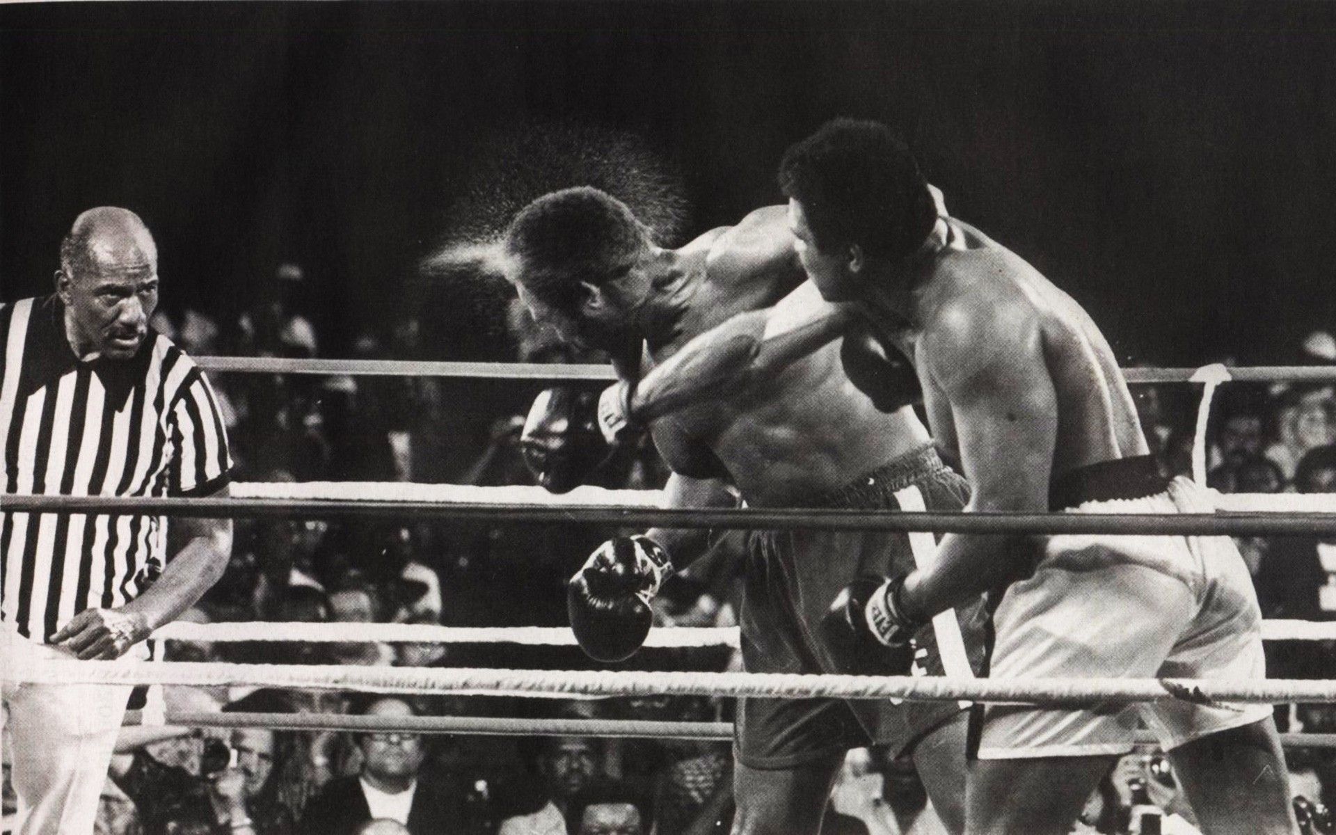 Muhammad Ali incontro pugilato, 1920x1200 WUXGA, PC