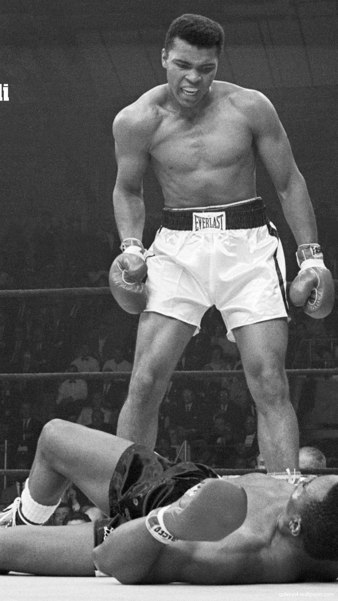 Muhammad Ali sul ring bianco/nero, pugile, 1080x1920 Full HD Verticale, iPhone Pro Max