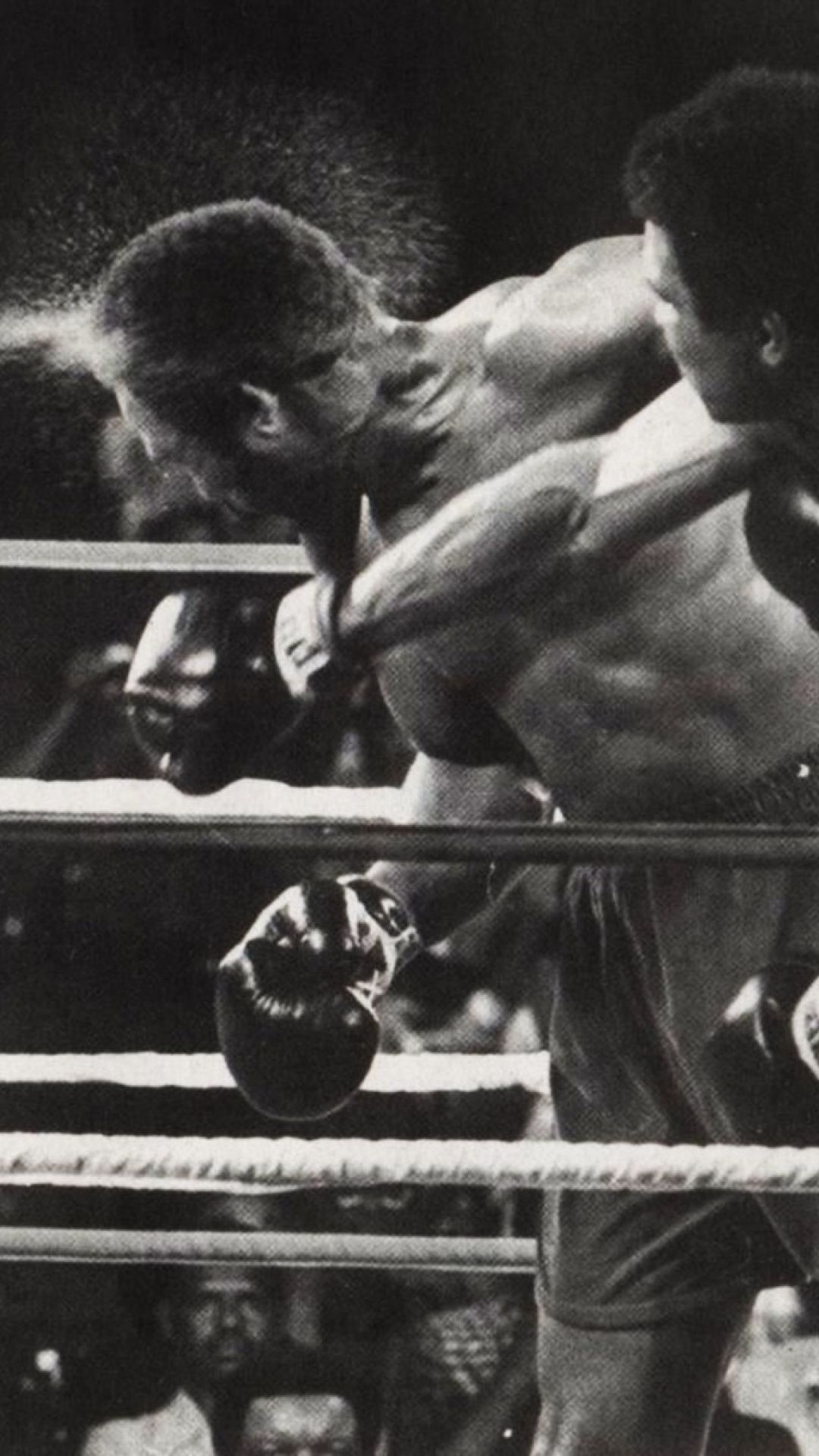 Muhammad Ali incontro di boxe, 1080x1920 Full HD Verticale, iPhone Pro Max
