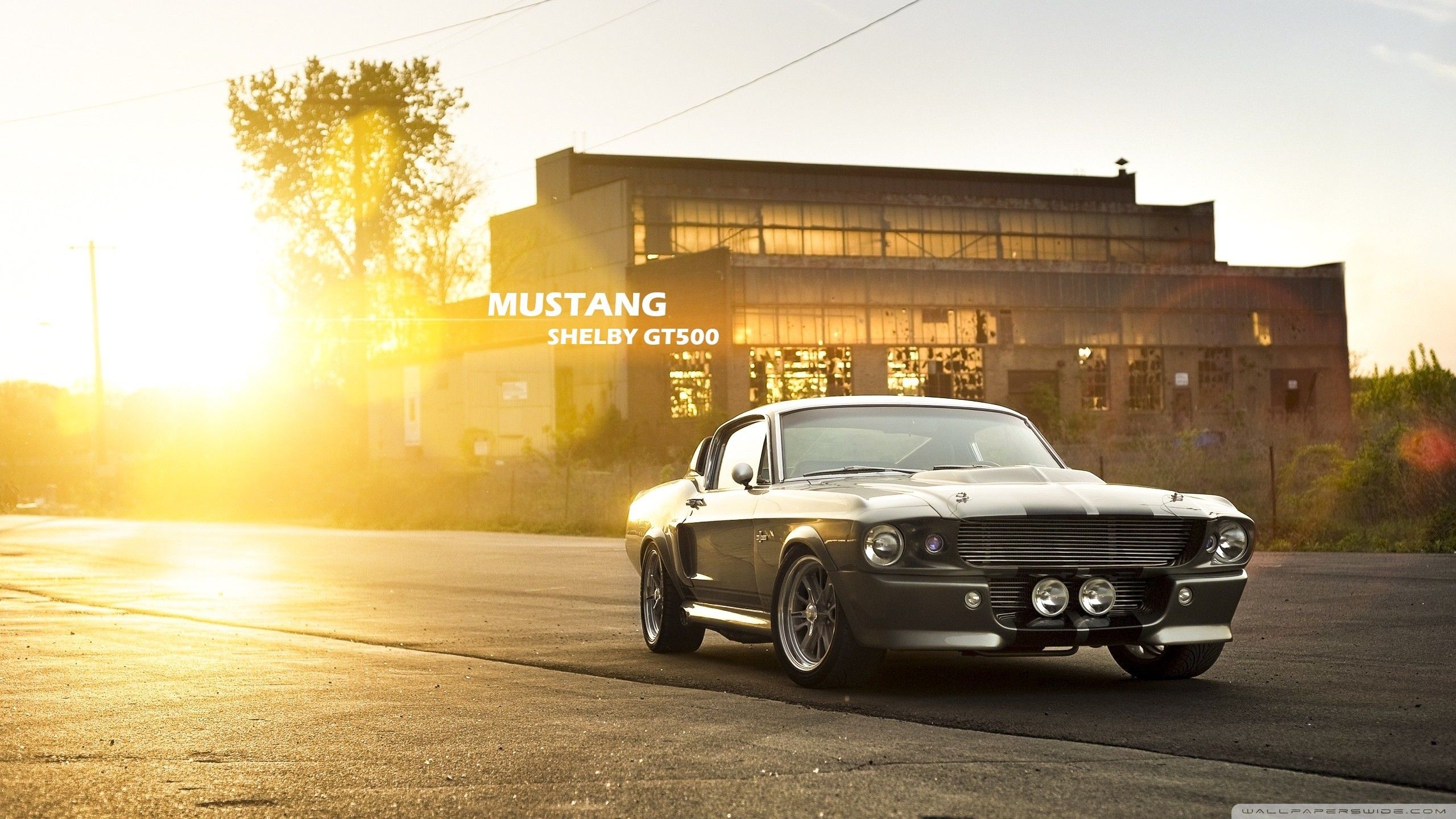 Ford Mustang Shelby GT500 grigia, 2560x1440 2K QHD, Monitor Gaming