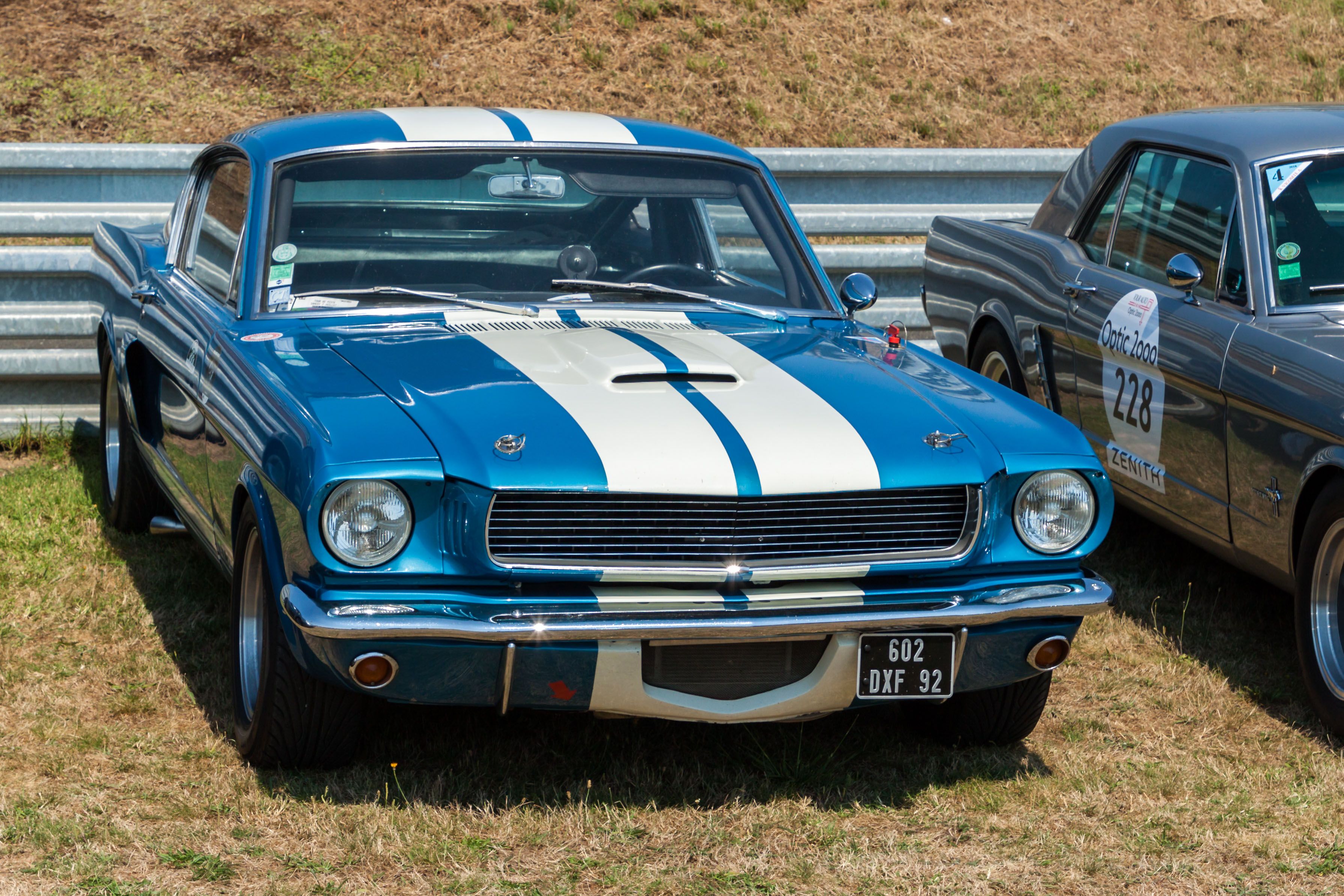 Ford Mustang Shelby blu, V8, 3580x2387 WQXGA, Desktop