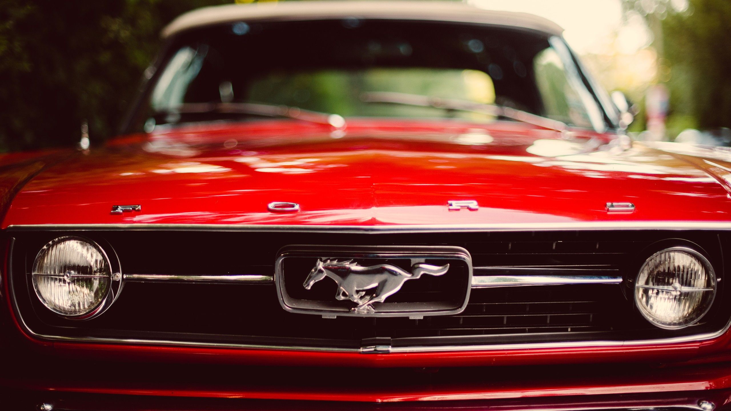Ford Mustang rossa d'epoca, 2560x1440 2K, Desktop