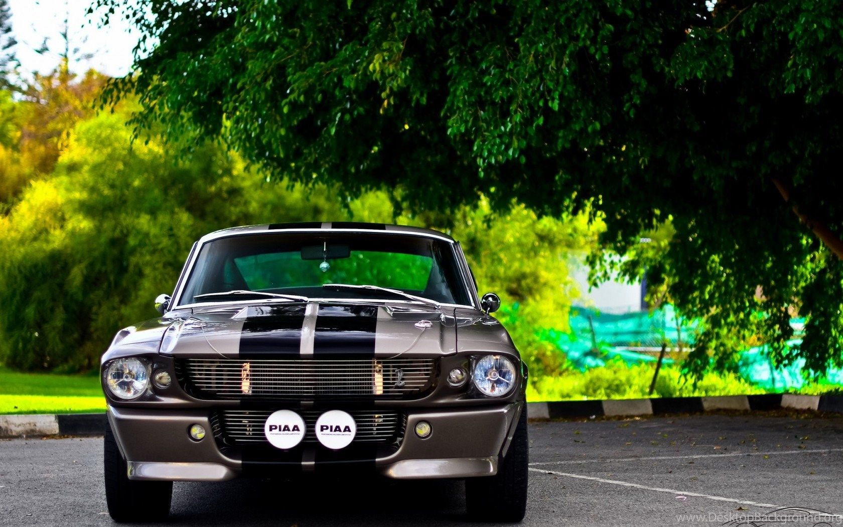 Ford Mustang Shelby grigia, 1680x1050 900p, MacBook Air