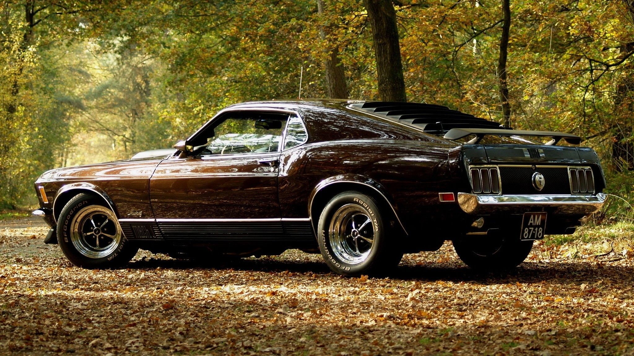 Muscle car vintage marrone in foresta, 2048x1152 2K, Desktop