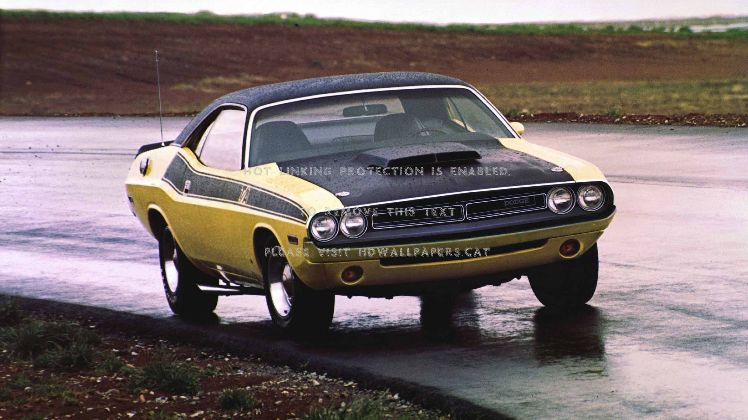 Dodge Challenger giallo vintage, 2560x1440 2K, Desktop