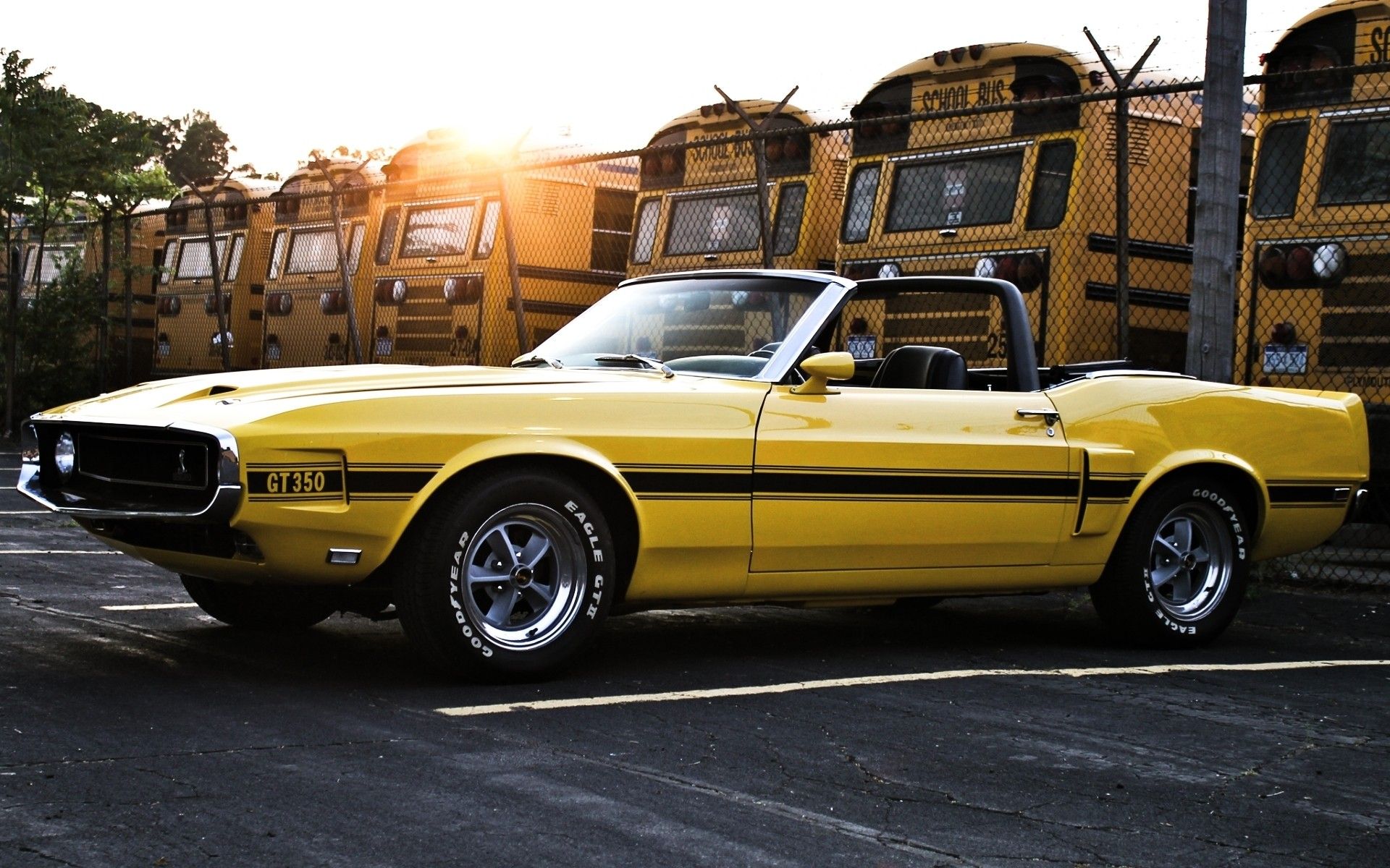 Ford Mustang Shelby giallo vintage, 1920x1200 Full HD+ WUXGA, Desktop