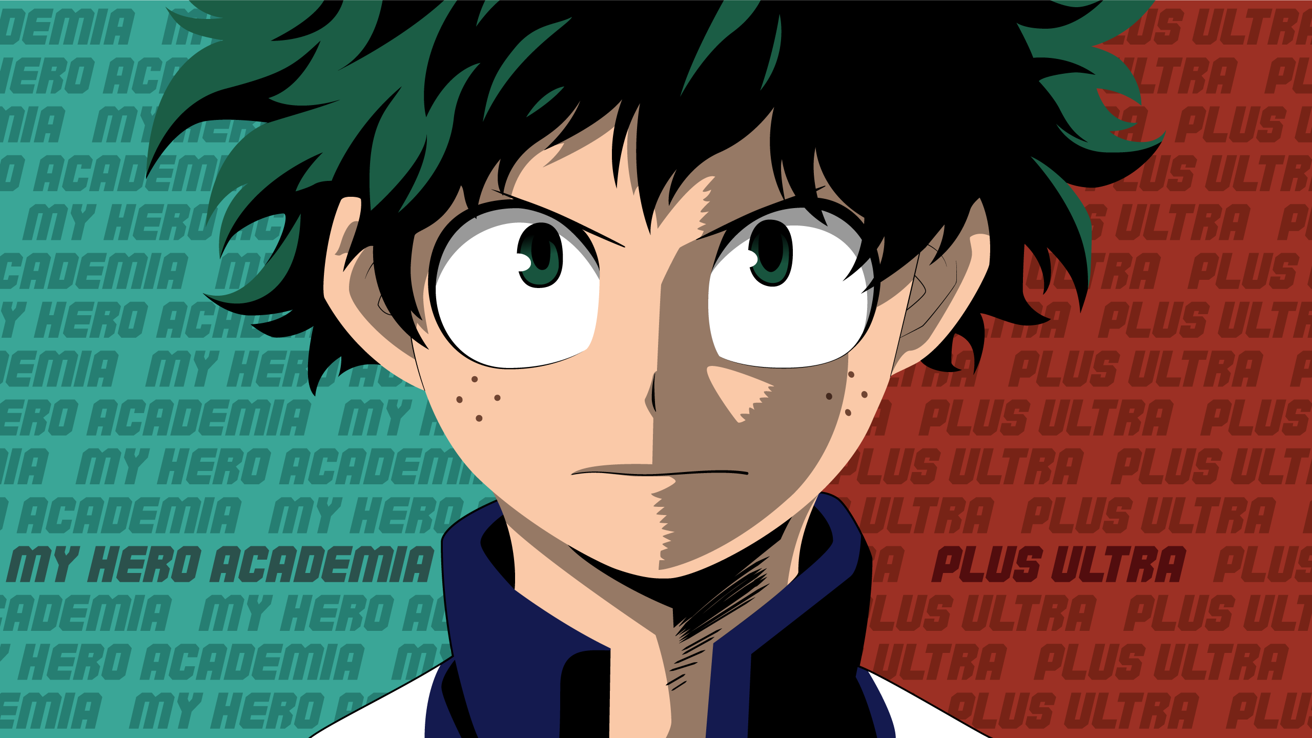 Deku My Hero Academia, 2560x1440 QHD, Laptop
