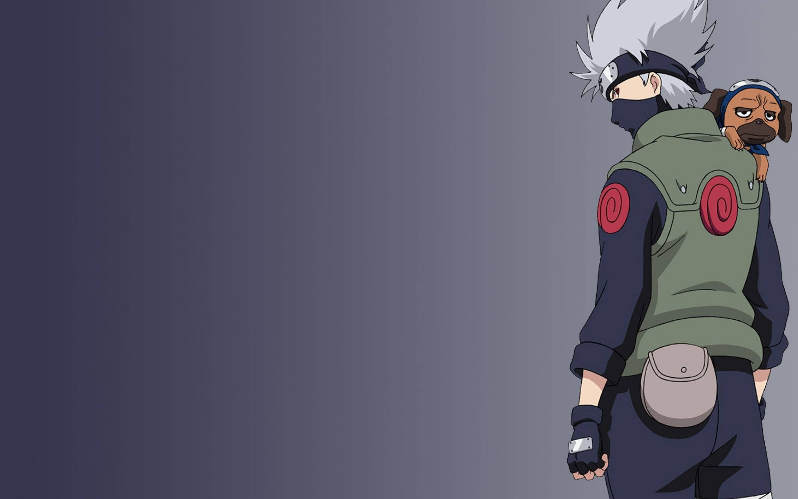 Kakashi Hatake Naruto, 2560x1600 2K, Desktop