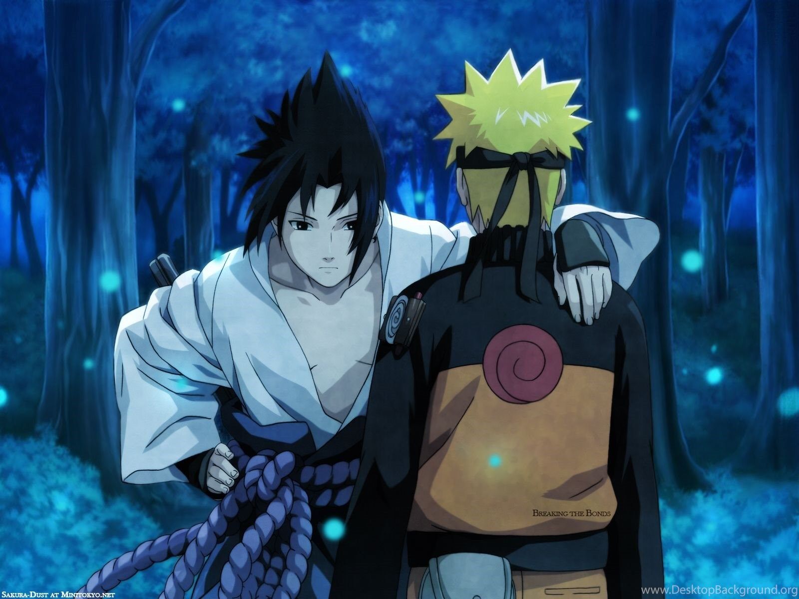 Sasuke Uchiha ali nere, Naruto, 1920x1080 Full HD 1080p, PC Desktop