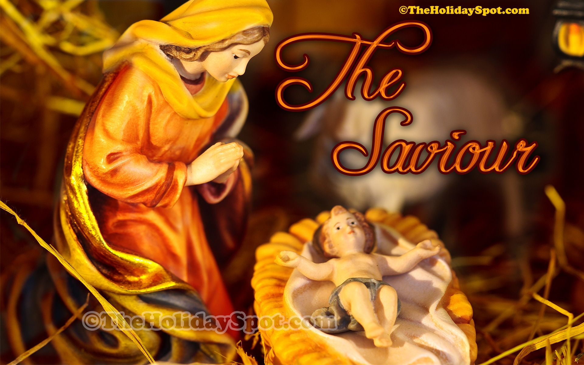 Felci blu scure con testo, 3000x2002 2K+, Desktop