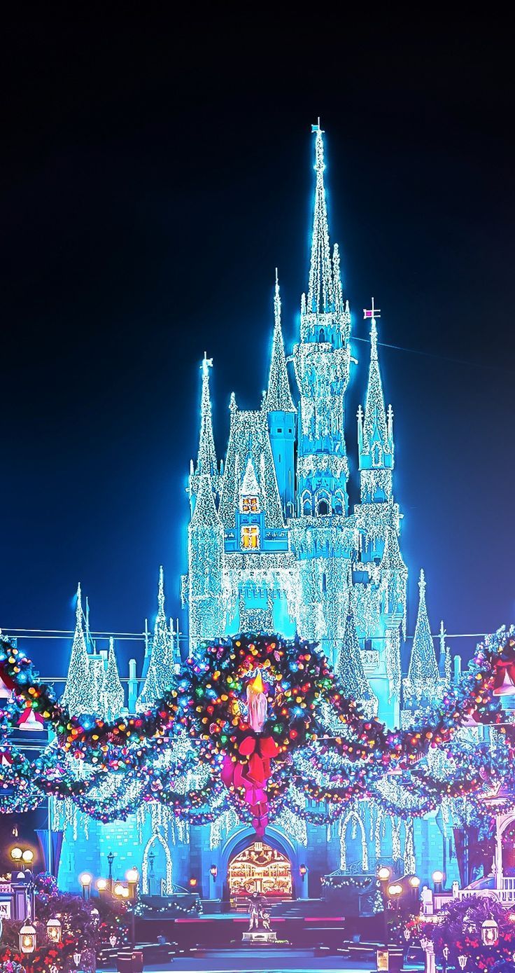 Castello Disney illuminato Natale, 736x1389 Full HD Verticale, Smartphone