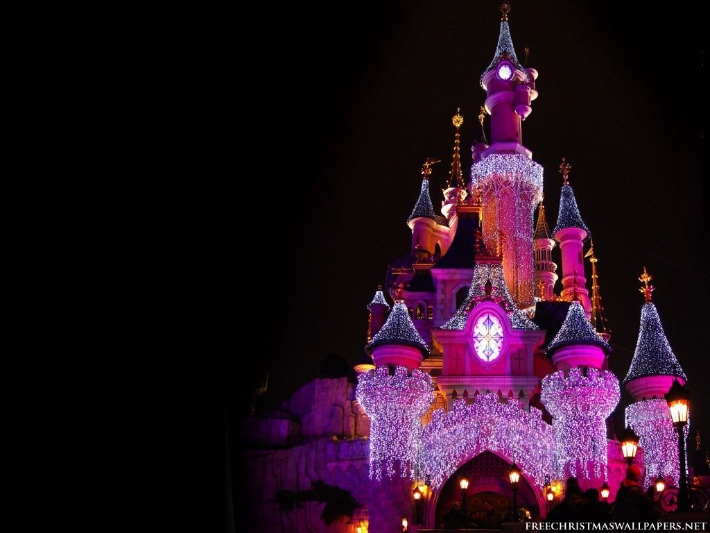 Castello Disney illuminato di notte, 1024x768 HD, PC Desktop