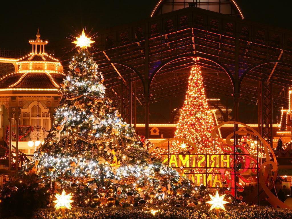 Alberi di Natale illuminati parco, 1024x768 HD, Laptop