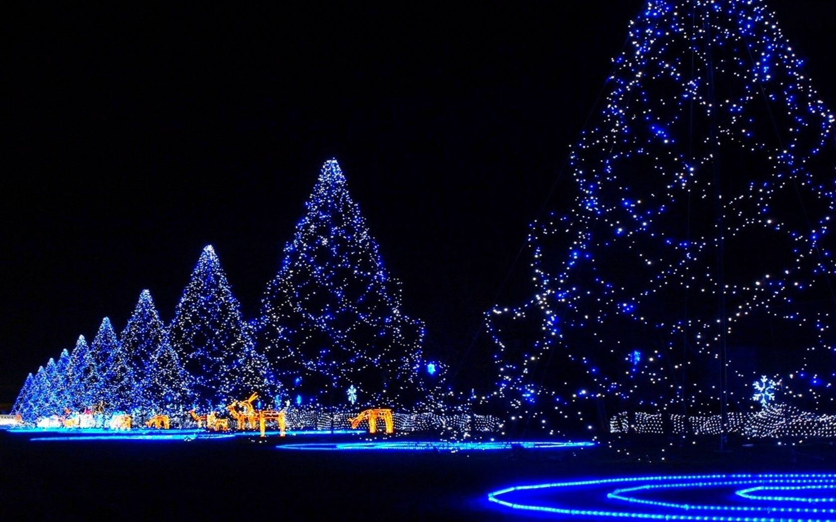 Alberi di Natale luci blu, 1680x1050 900p, PC