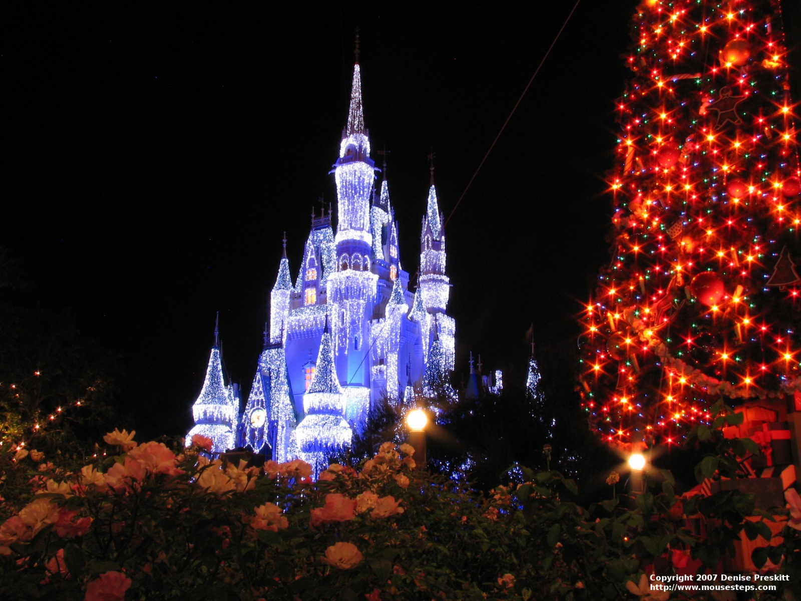 Castello Disney World Cenerentola, 2560x1440 QHD, PC