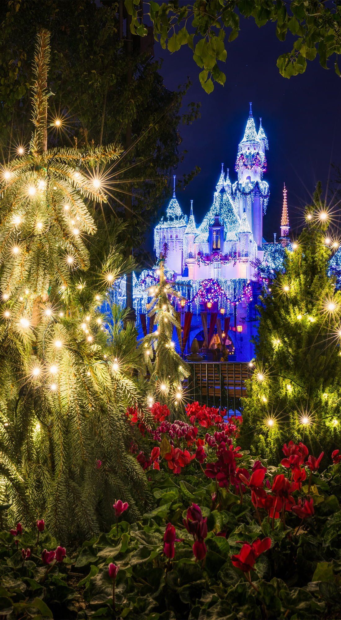 Castello Disneyland luci natalizie, 1100x2000 Full HD Verticale, iPhone