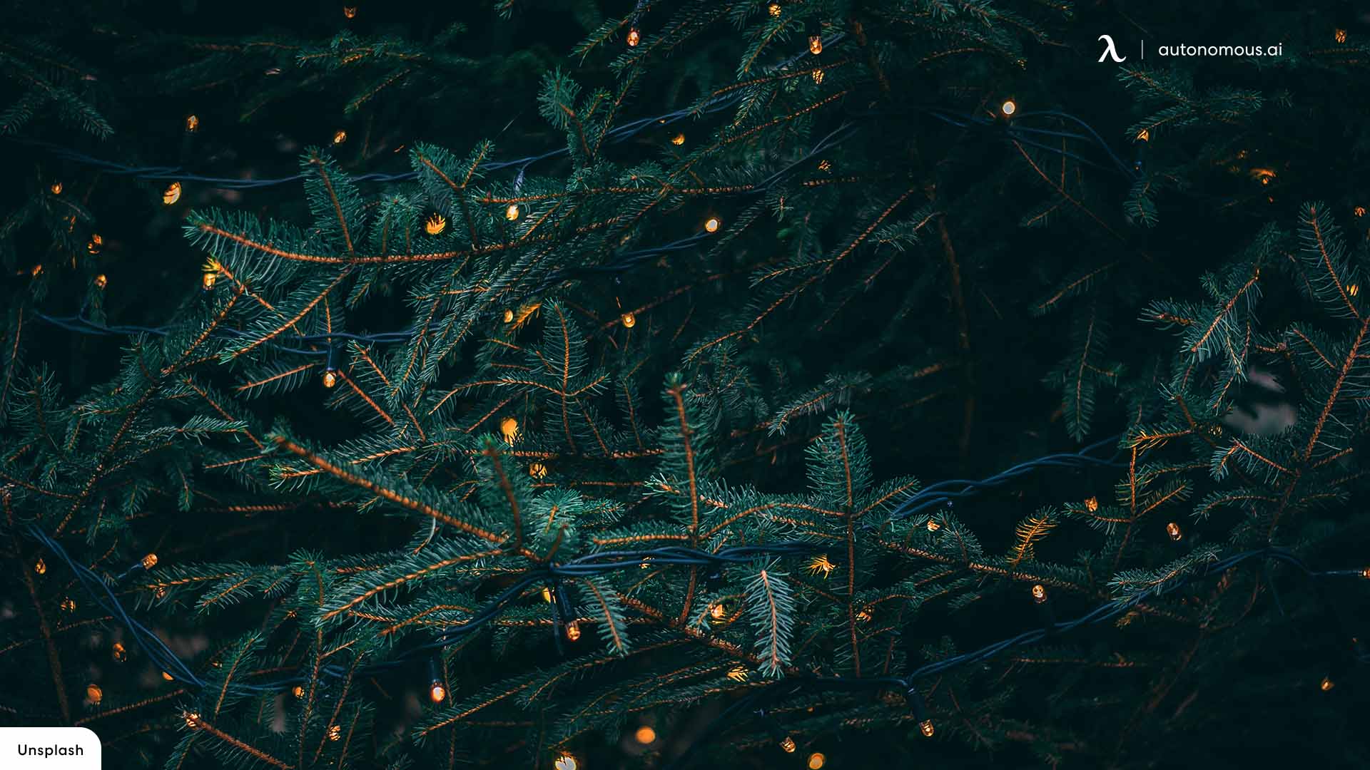 Albero di Natale luci dorate, 1920x1080 Full HD, Desktop
