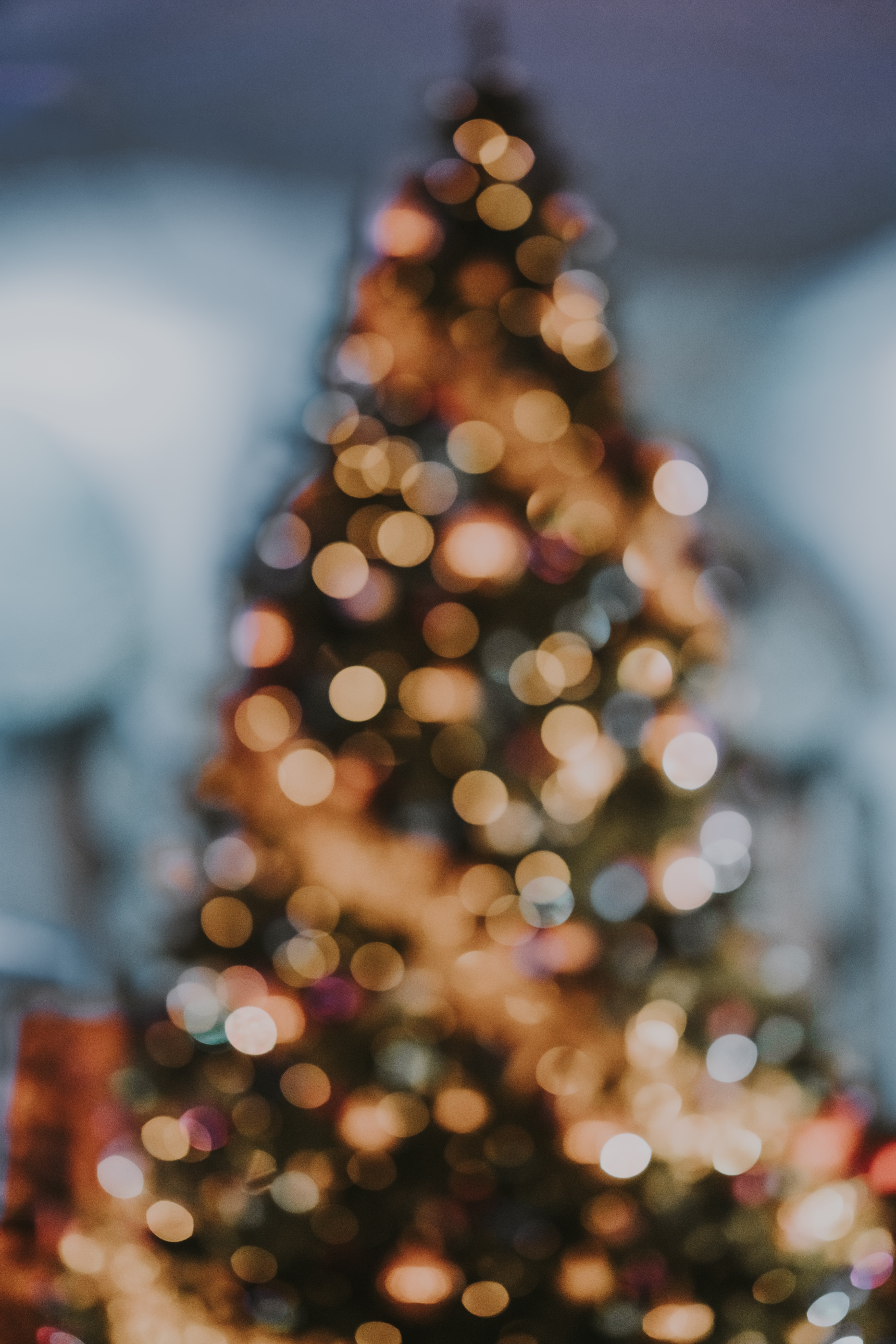 Albero di Natale sfocato bokeh, 5304x7952 Verticale, Mobile