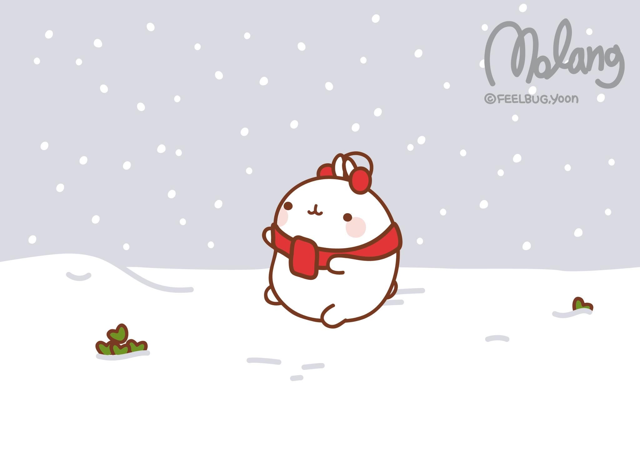 Molang coniglietto bianco neve natalizia, 2048x1452 2K, PC