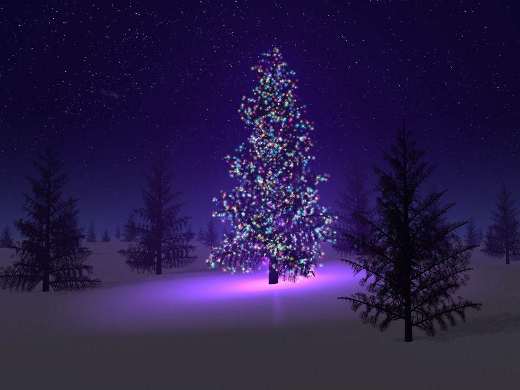 Albero di Natale illuminato viola, 1024x768 HD, Monitor Gaming