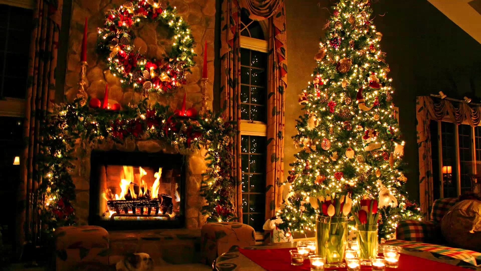 Camino natalizio con albero illuminato, 1920x1080 1080p, Monitor Gaming