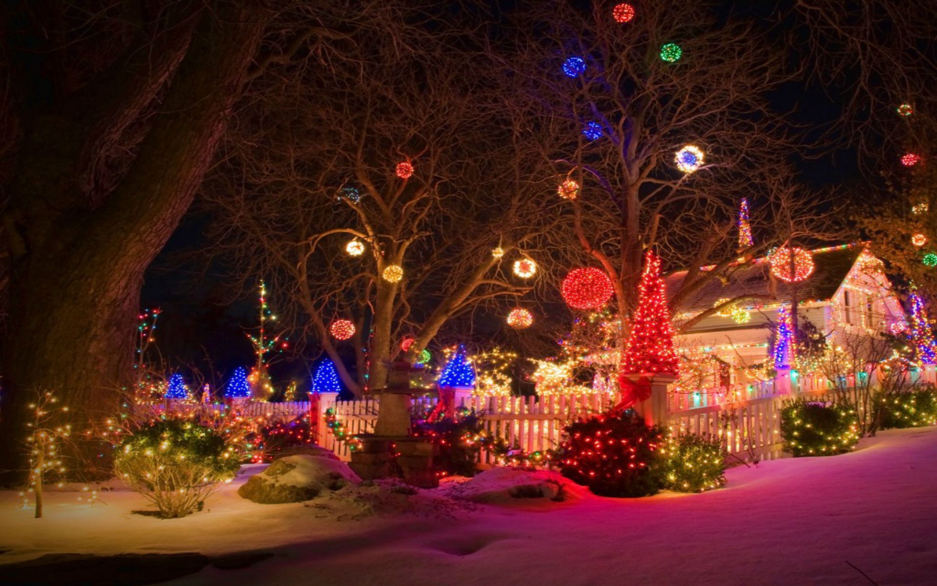 Luci di Natale in giardino, 1920x1200 Full HD+ WUXGA, PC Desktop