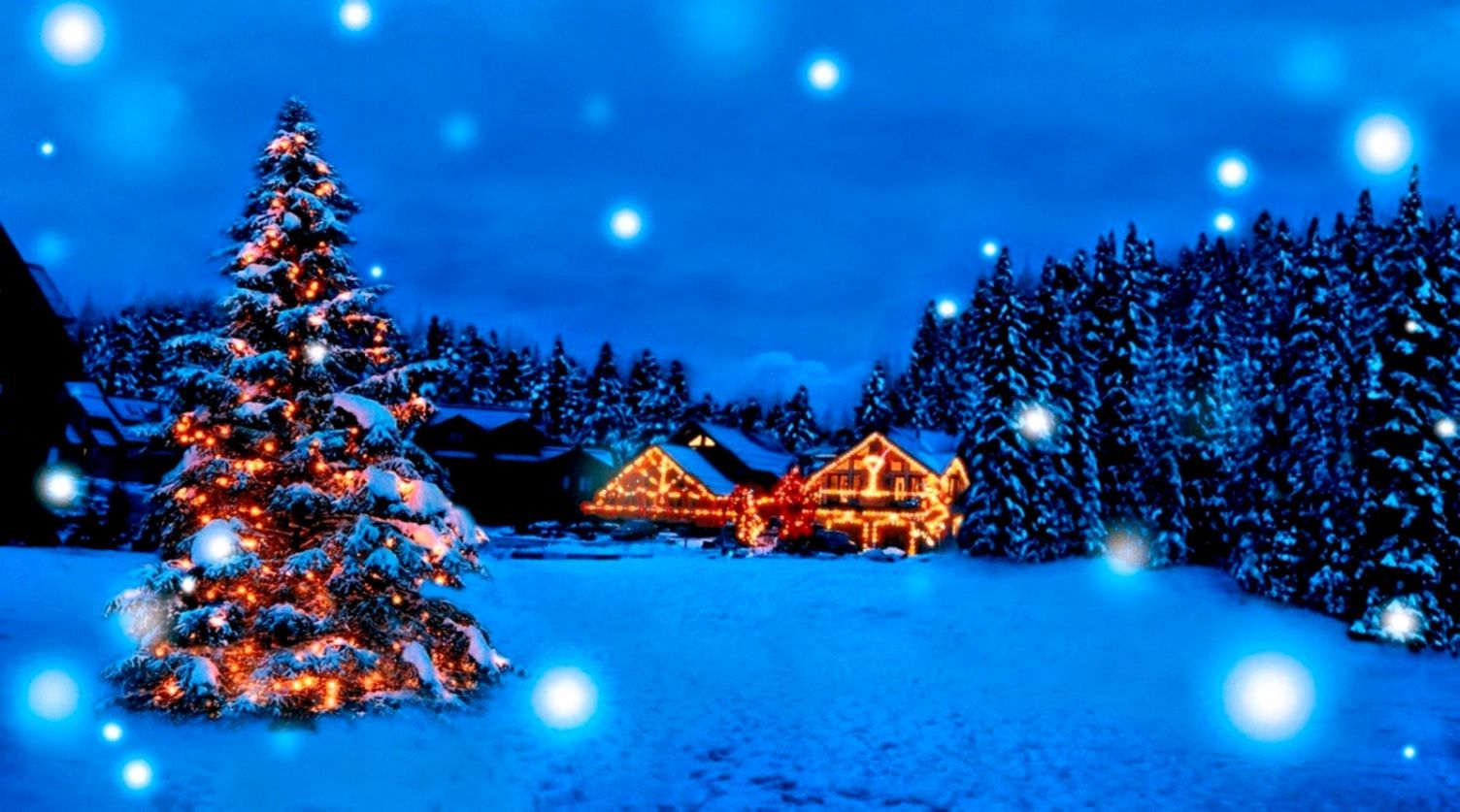 Albero di Natale innevato notte, 1504x837 HD, Desktop
