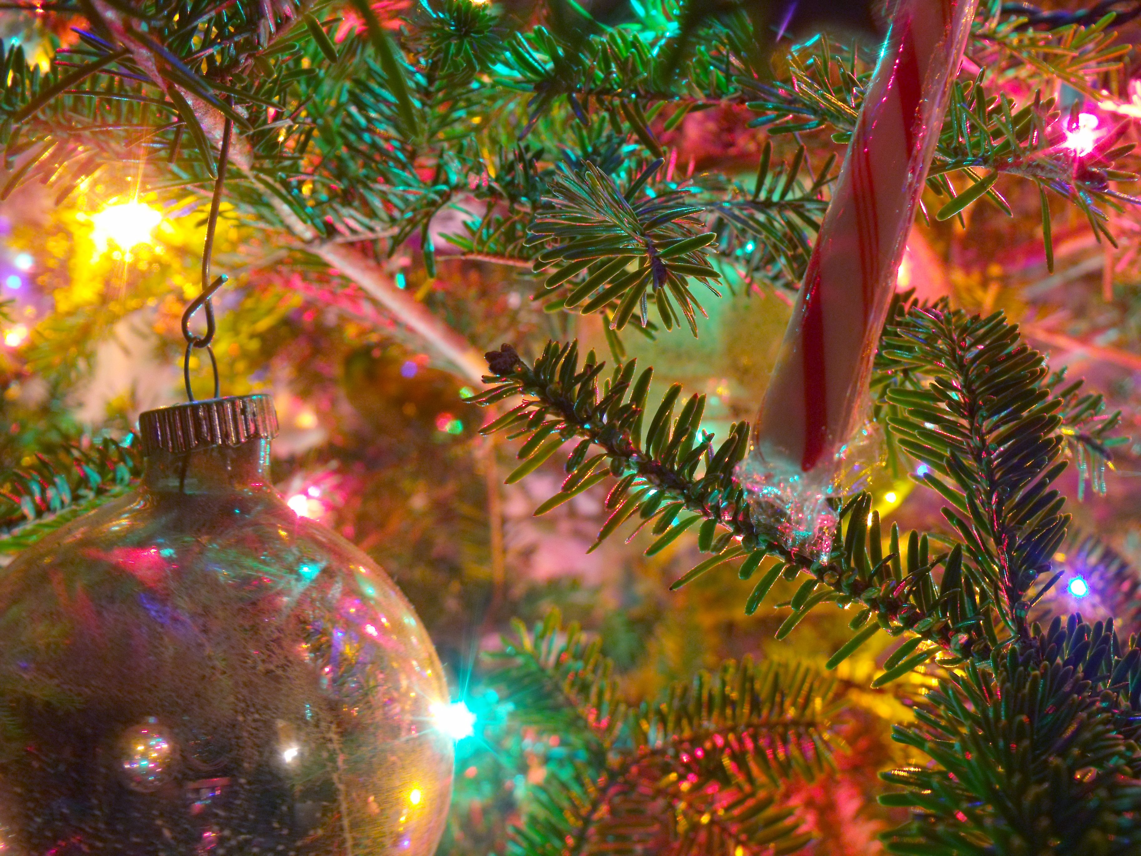 Albero di Natale con luci colorate, 3648x2736 2K, Monitor Gaming