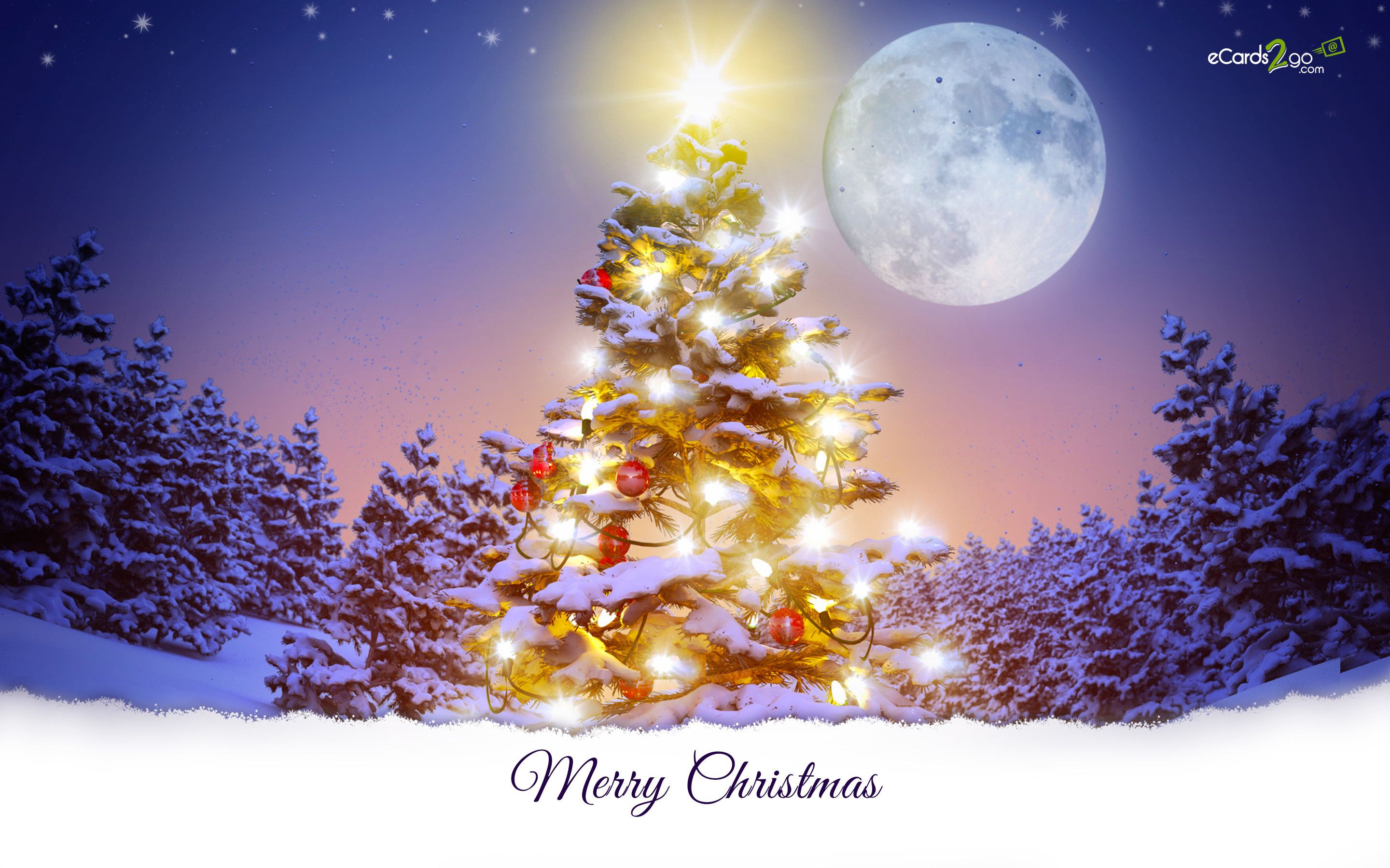 Albero di Natale illuminato con luna, 2880x1800 2K, PC Desktop