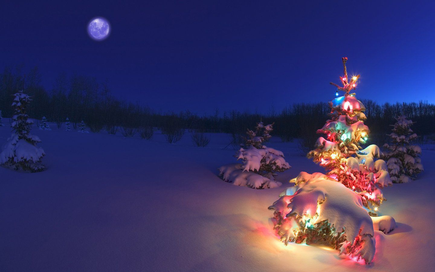 Albero di Natale innevato illuminato, 1440x900 HD, PC Desktop