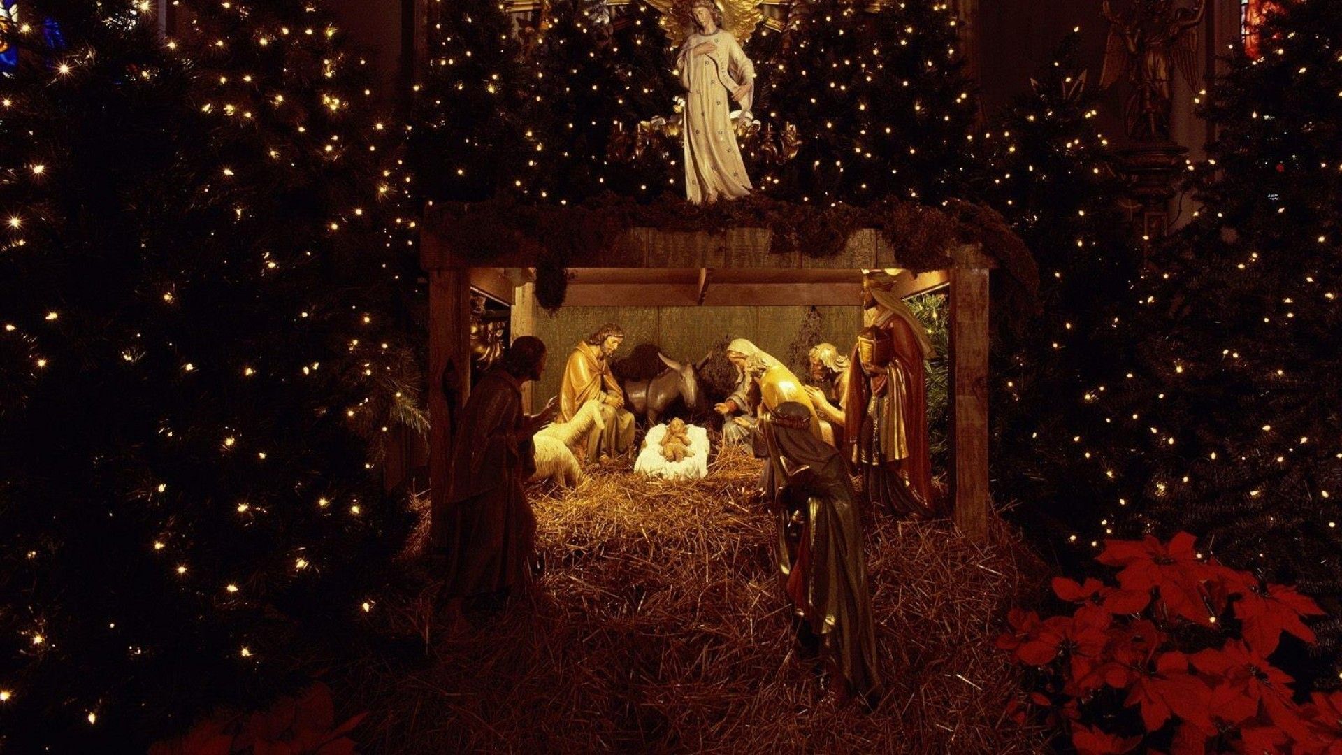 Presepe natalizio con alberi illuminati, 1920x1080 1080p, PC Desktop