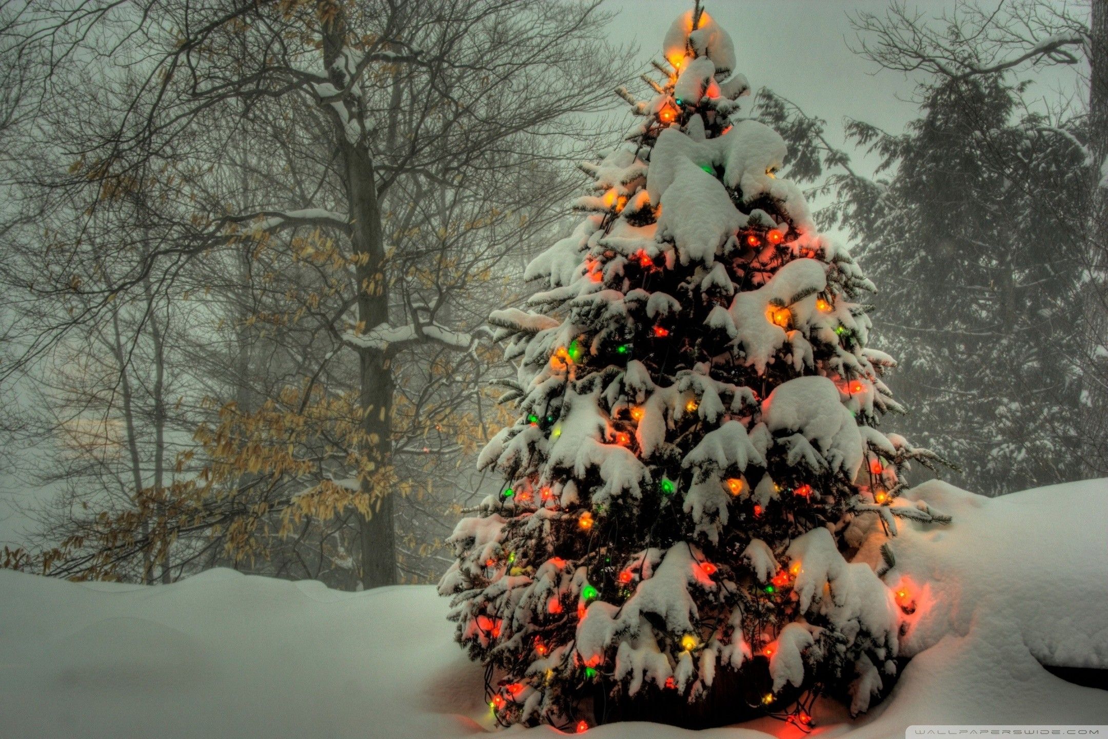 Albero di Natale innevato, 2160x1440 2K, Laptop
