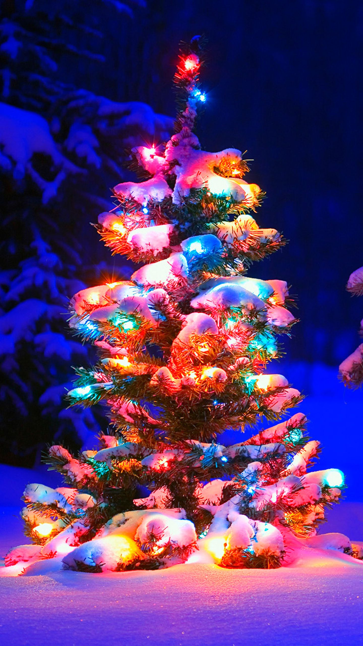 Albero di Natale innevato con luci, 1440x2560 Verticale, Samsung Galaxy