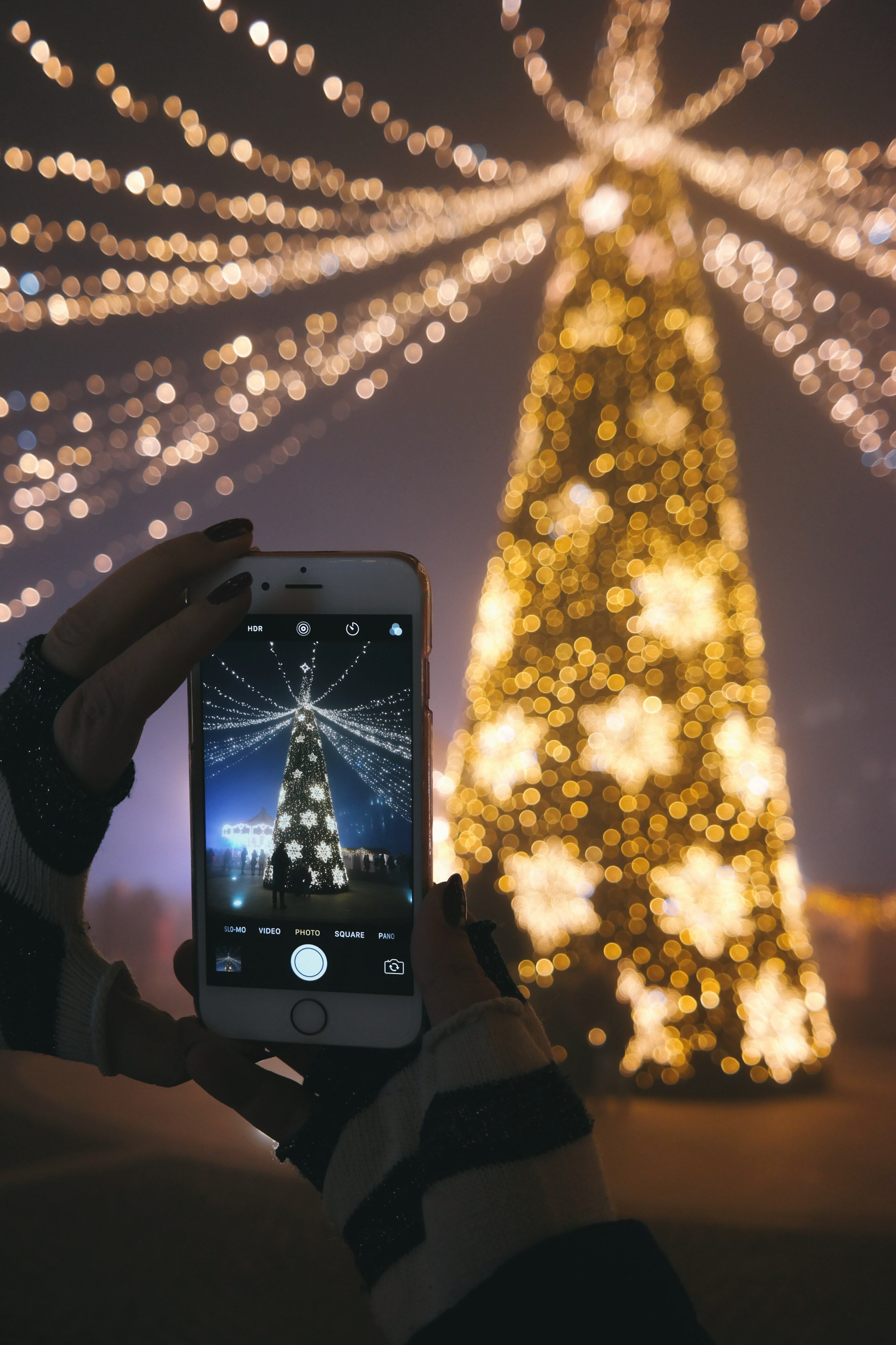 Albero di Natale illuminato, 736x1308 Verticale, Telefono