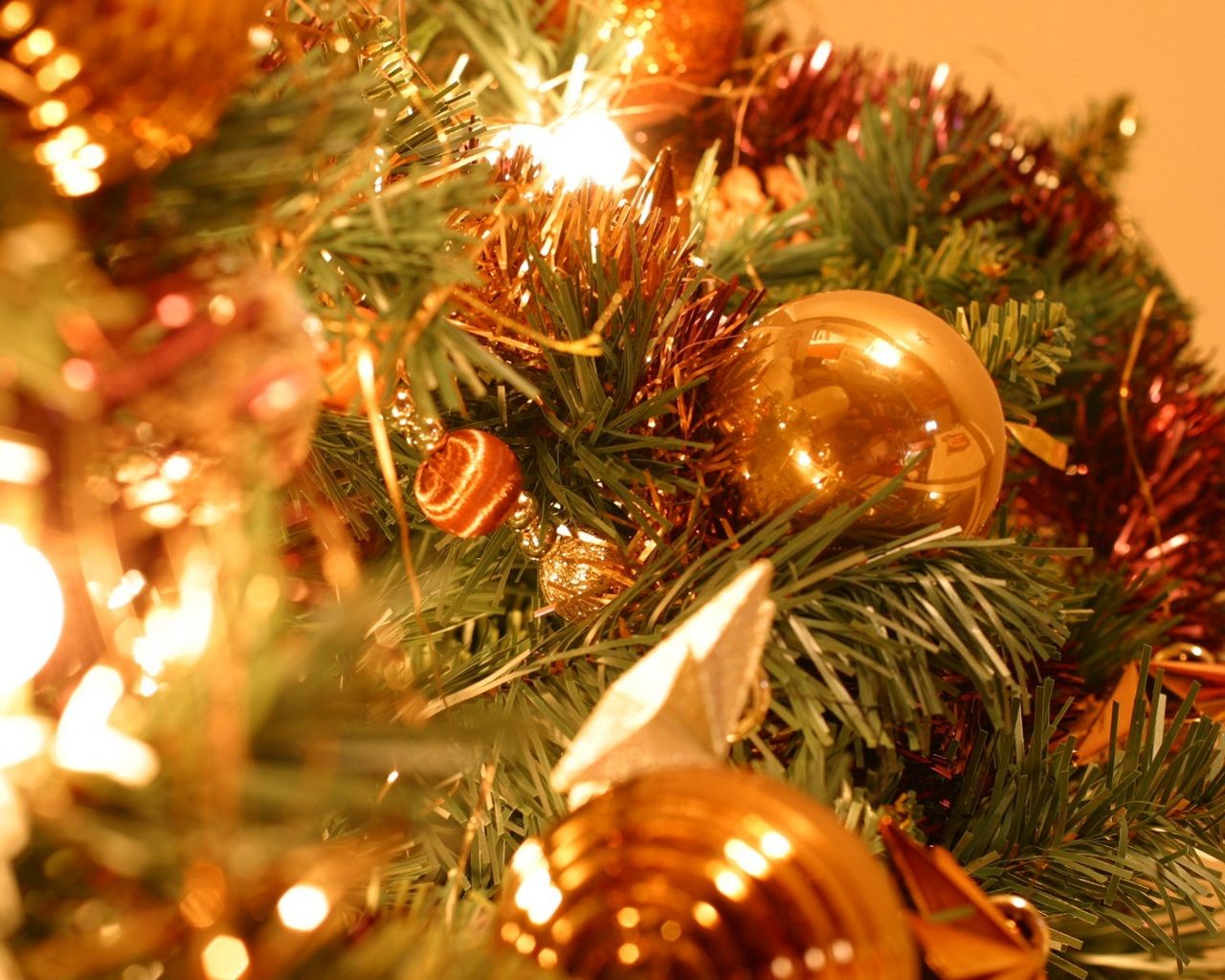 Foto smartphone albero di Natale, 3648x5472 Full HD Verticale, iPhone