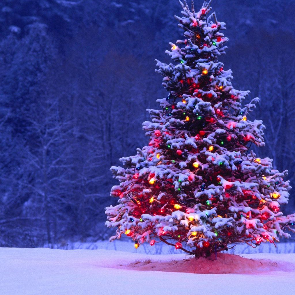 Albero di Natale innevato illuminato, 1024x1024 HD, iMac