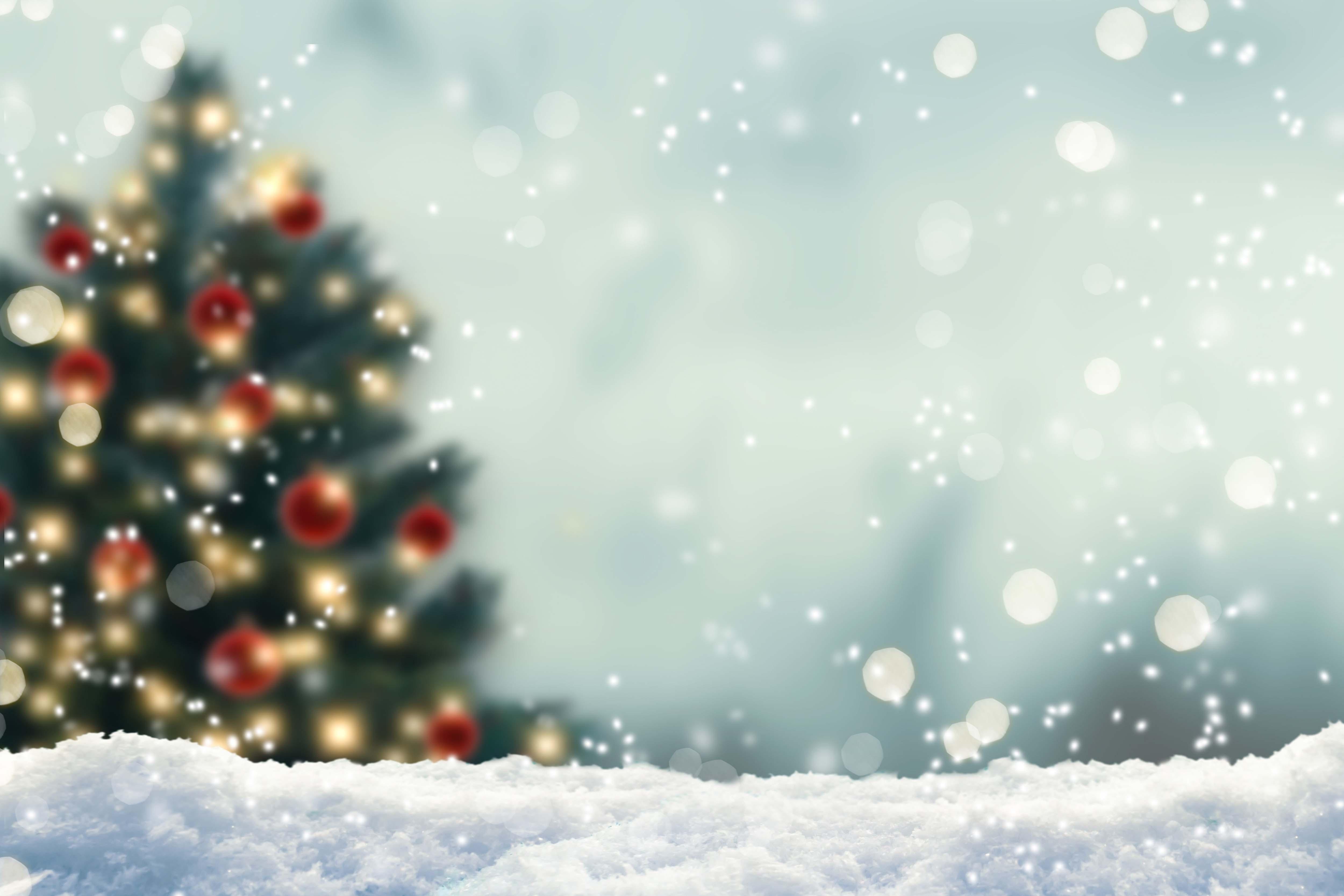 Albero di Natale sfocato nella neve, 5000x3333 4K Ultra HD, Monitor 4K