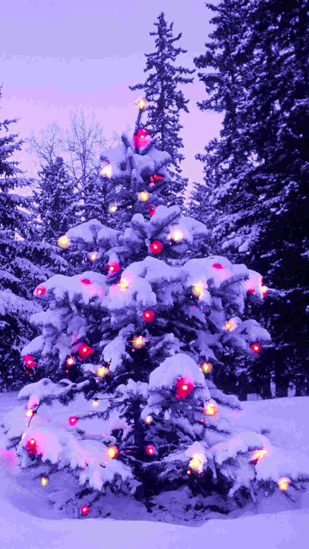 Albero di Natale innevato con luci, sfondi 1080x1920 Full HD Verticale, Smartphone