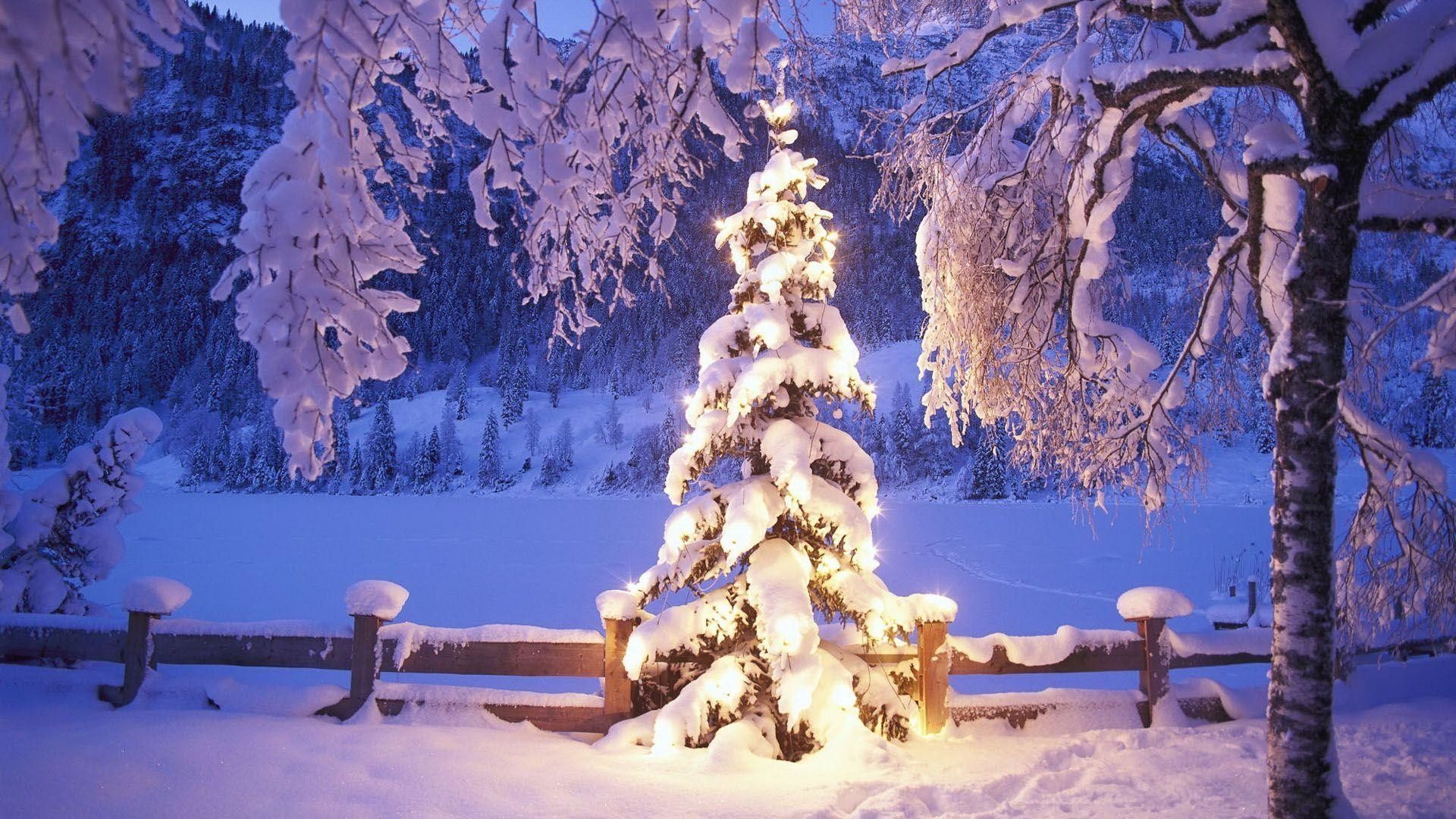 Albero di Natale innevato illuminato, sfondo 1920x1080 Full HD 1080p, PC Desktop