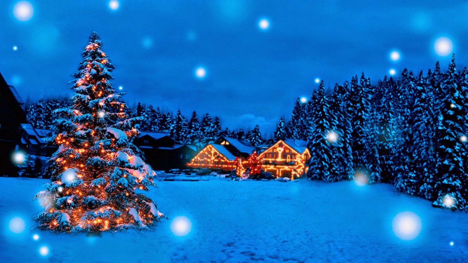 Albero di Natale innevato notturno, sfondo 1600x900 HD Ready, Desktop