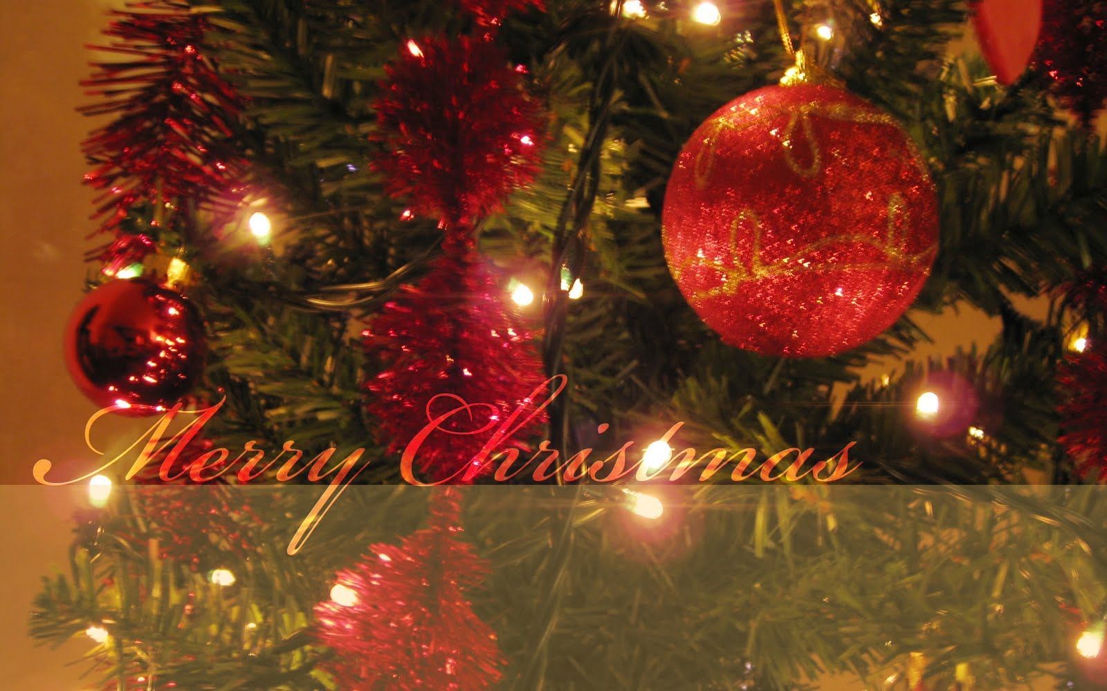 Albero di Natale con palline rosse, sfondo 1600x1000 HD, Laptop