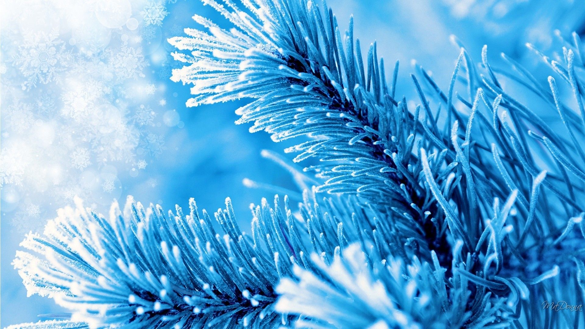Alberi innevati paesaggio invernale, 1280x1024 HD, Desktop