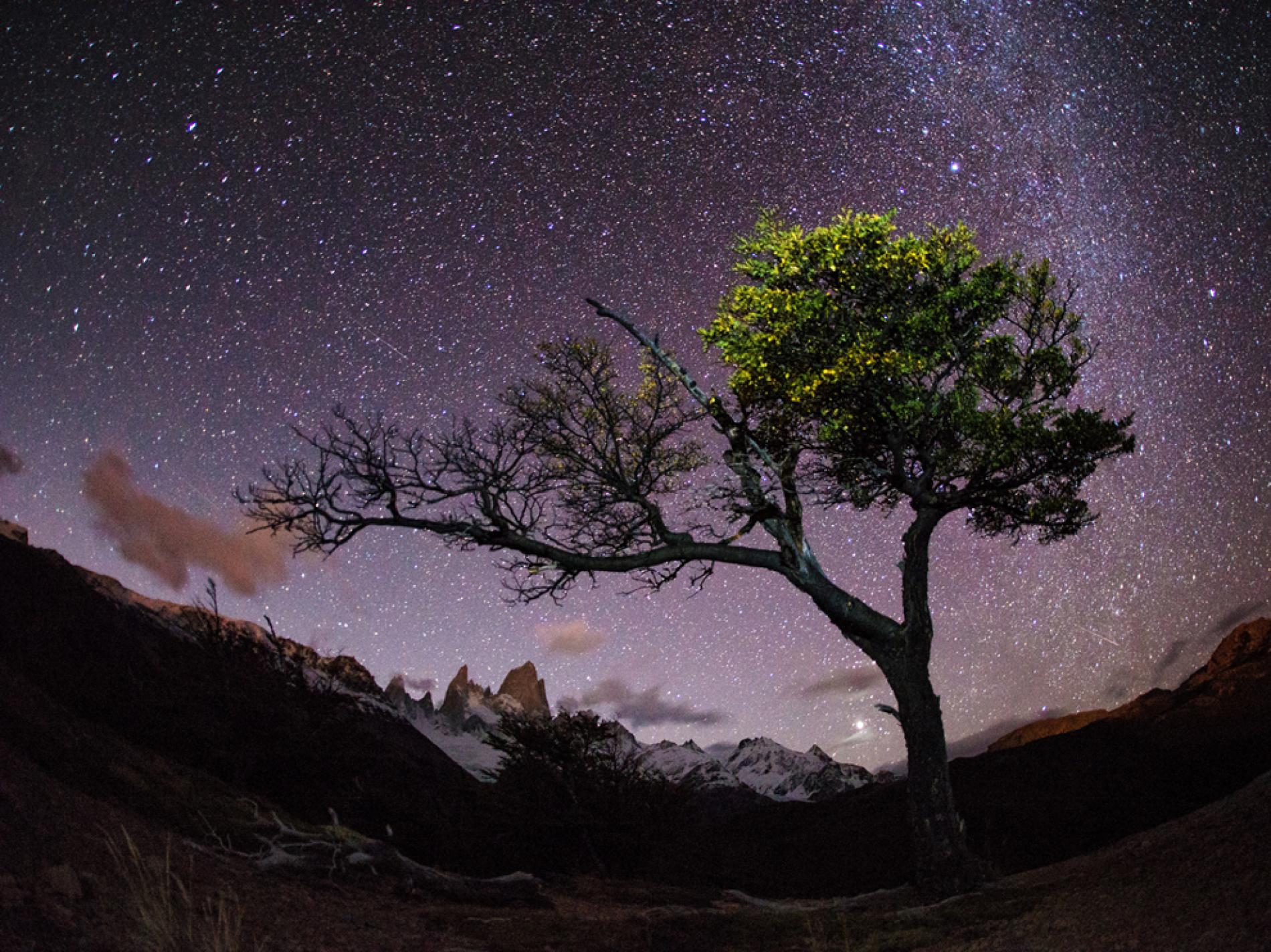 Cielo stellato, albero, montagne Patagonia, 1900x1424 HD, Desktop